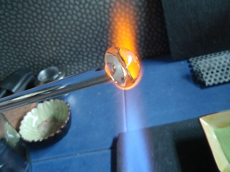 Datei:Wasserlinse01.jpg